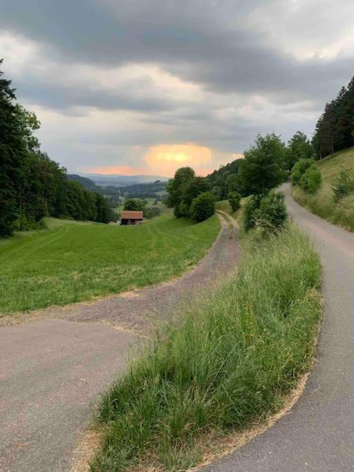 Charming Alps Apartment Perfect For Walk/Cycle/Ski Eschenbach エクステリア 写真